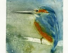 Barbara Wichers Hoeth