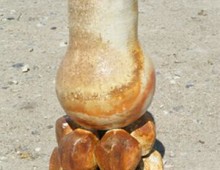 Pau Voûte