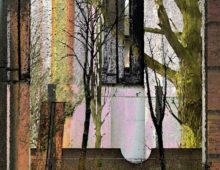 Noor Hoogenhout