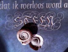 Sacha de Leeuw